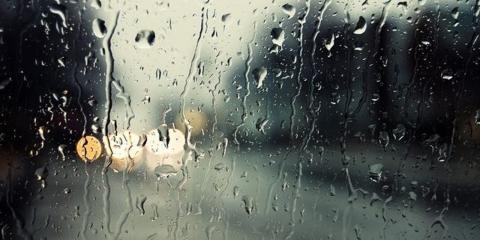 WW Rain
